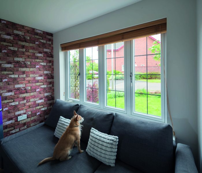 Residence 7 windows in a calssically styled lounge with dog on the sofa